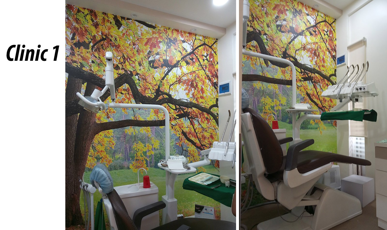 Dr. Radhesh Rao's Dental Clinic Image 1